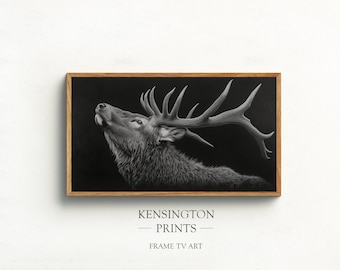 Elk Portrait - Samsung Frame TV Art, Wildlife Photo (Digital Download)