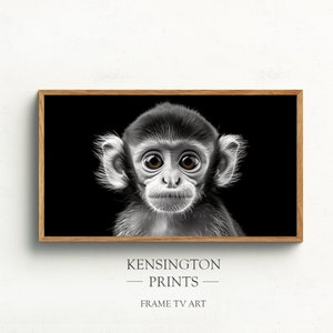 May include: Black and white photo of a baby monkey with big brown eyes, framed in a natural wood frame. The image is on a white background.