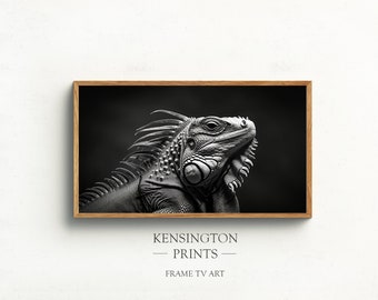 Samsung Frame TV Digital Art, Iguana, Animal Art, Wildlife Digital Download, Black and White, Realistic Photo, Digital Download, Organic