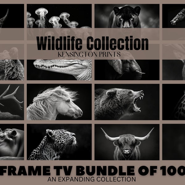 Animal Frame TV Art Set, Wildlife Collection, Digital Art, Modern, Animal pictures, Black and White, Nature Artwork Bundle, Digital Download