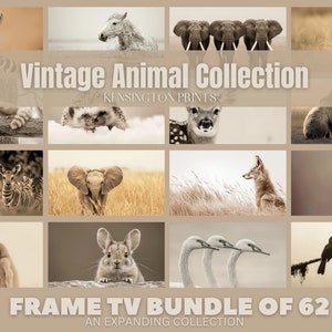 Vintage Animal Frame TV Art Set, Vintage Collection, Digital Art, Farmhouse, Animal Bundle, Nature Artwork Bundle, Digital Download, Neutral