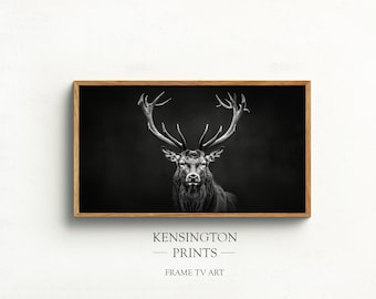 Deer Samsung Frame TV Art: Black and White Wildlife Photo (Digital Download)