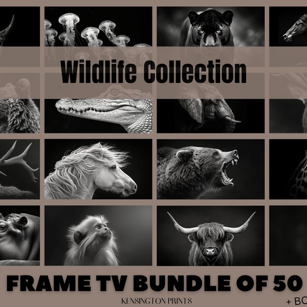 Animal Frame TV Art Bundle, Wildlife Collection, Digital Art, Modern, Animal pictures, Black and White, Realistic Photo, Digital Download