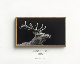 Stag Deer Samsung Frame TV Art: Black and White Wildlife (Digital Download)