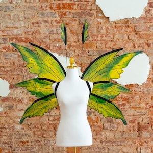 Green fairy wings costume, Elf wings, Halloween, Photography prop, Cosplay costume