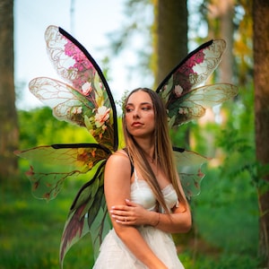 Green & Pink Fairy Wings: Woodland Elf Costume, Adult Cosplay