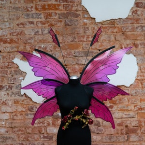 Pink fairy wings costume, Elf wings,Photography prop, Halloween, Cosplay costume