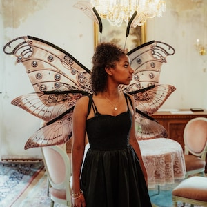 Moth wings, Brown Fairy Wings, Cosplay costume for adult