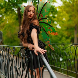 Green & Orange Fairy Wings: Cosplay Costume, Elf Butterfly Style