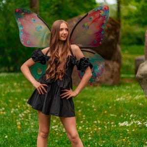 Kleurrijke sprookjesvleugels, fantasiekostuum volwassenen, elfenvleugels, vlindervleugels, Halloweenkostuum