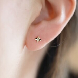May include: A small, gold-colored star-shaped stud earring is shown in the ear. The earring has a faceted design, catching the light and creating a sparkling effect. The earring is a delicate piece of jewelry.