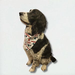 Dog Bandana, Pet Dog Accessories, Dog Scarf, Snap and Loop Dog Bandana, Father&#39;s Day Pet Gift, Holiday Pet Neckerchief, Cute Pet Bandana