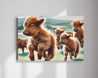 May include: A group of five brown and white Highland cattle calves running through a grassy field. The calves have long, shaggy fur and are running towards the viewer.