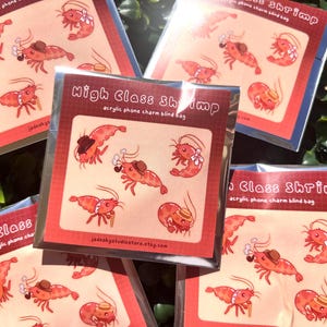 High Class Shrimp Acryl Handyanhänger Jalousie Tasche!