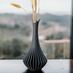 May include: A black vase with a unique, geometric design. The vase has a wide, rounded base and a narrow neck. It is made of a smooth, matt material.