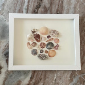 Framed Shell Art, Shadow Box, Handmade Art, Coastal Art, Coastal Decor, Beach House