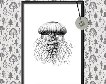 Ocean Dancer: Illustration of a Jellyfish