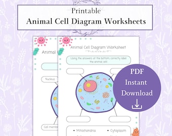 Animal Cell Diagram Printable PDF, Parts of an Animal Cell Labeling Worksheet, Biology Science Activity, Classroom