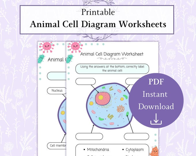 Animal Cell Diagram PDF - Etsy Canada