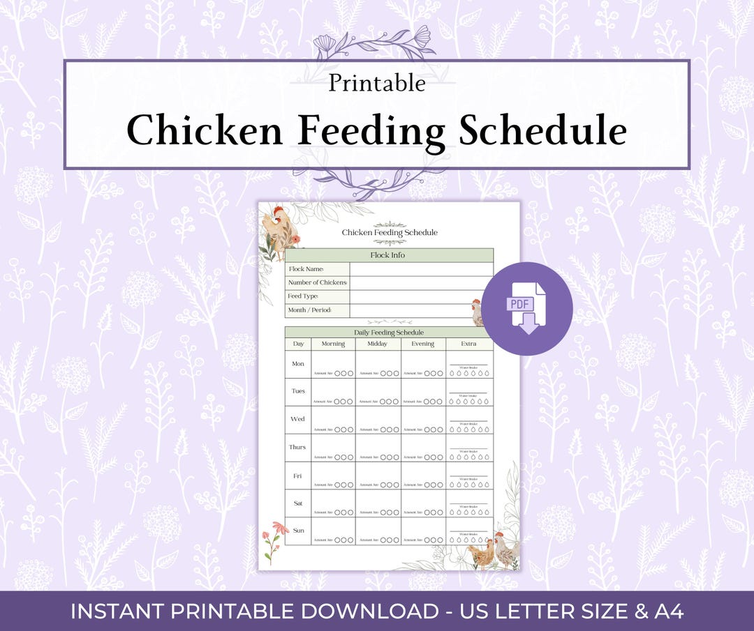 Chicken Feeding Schedule Printable PDF, Backyard Chicken Feed Planner ...