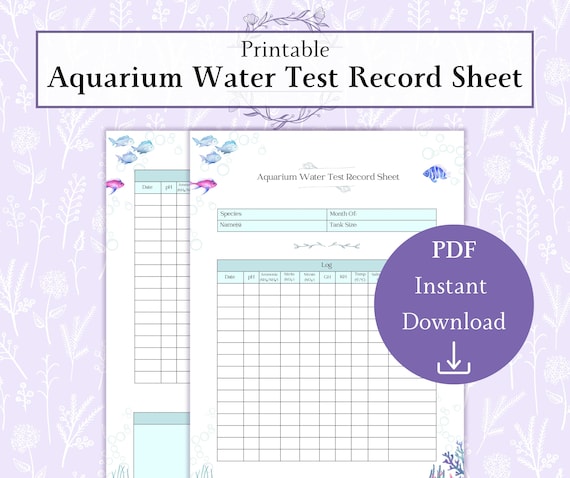 Cichlid Tank Cleaning Schedule: Ultimate Guide for Sparkling Water