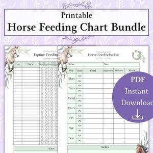Pferde Fütterung Tabelle Bundle druckbare PDF | Futtertabelle für Pferde | Pferdefütterungsplan | Pferdebrief PDF