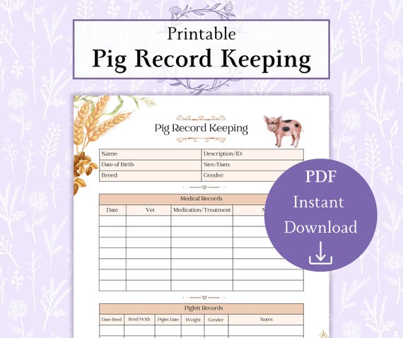 Pig Record Keeping Printable PDF | Pig Chart | Pig Management | Livestock Planner | Pig Record Book Sheet