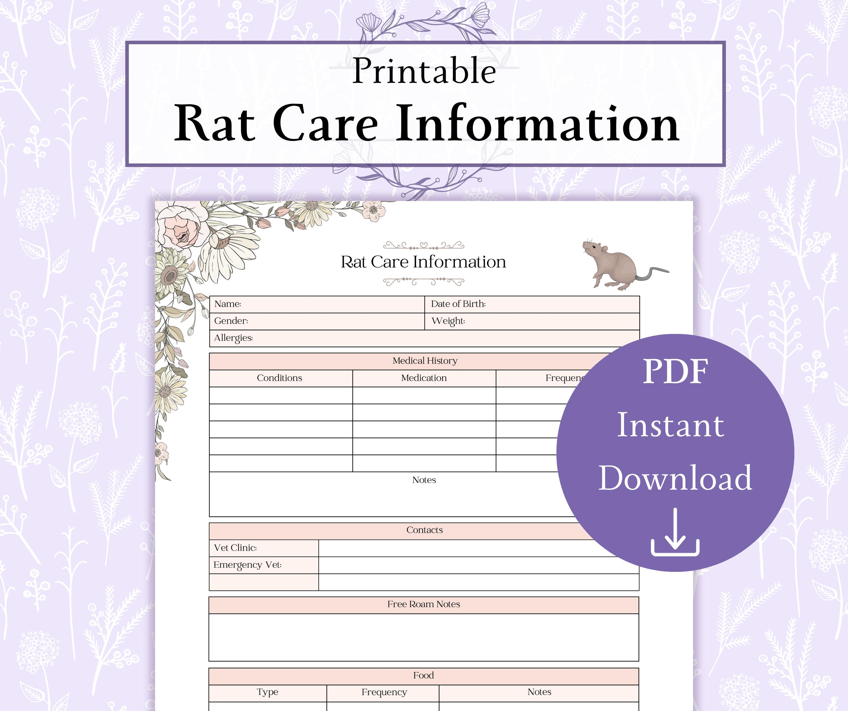 Rat Care Information Printable PDF | Rat Care Report | Rat Care Details ...