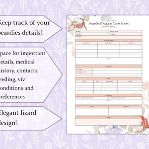 Bearded Dragon Care Sheet Printable PDF | Bearded Dragon Chart | Pet ...