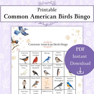May include: A printable bingo game featuring illustrations of common American birds. The game board includes images of various bird species, such as the American Robin, Blue Jay, and Northern Cardinal. The title "Common American Birds Bingo" is displayed at the top.