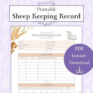 May include: Printable sheep keeping record form with sections for name, date of birth, breed, description, sire/dam, gender, medical records, and lambing records. The form has a light pink background with a watercolour illustration of wheat stalks and a white lamb.