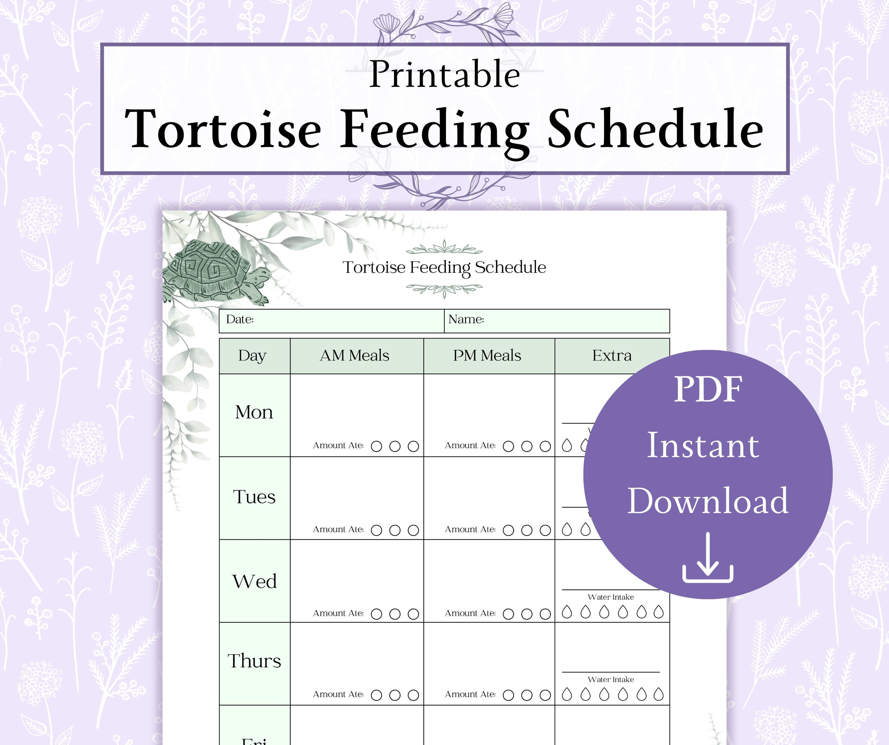 Tortoise Feeding Schedule Printable PDF | Tortoise Care Sheet ...
