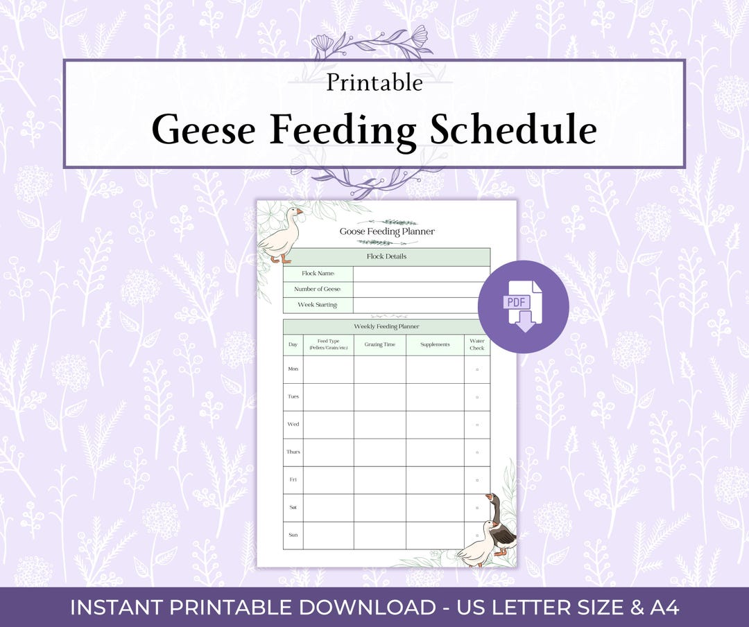 Goose Feeding Planner Printable PDF, Poultry Feeding Schedule, Goose ...