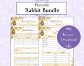 Rabbit Record Keeping Bundle Printable PDF | Rabbit Care Sheet | Bunny Chores | Expense Log | Vet Visit Log