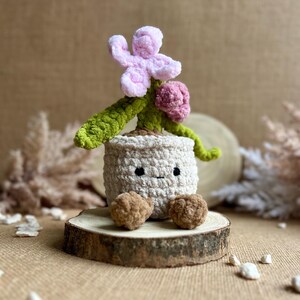 Peut inclure: Une plante crochetée dans un pot blanc avec un visage souriant, avec des fleurs roses et violettes et des feuilles vertes. La plante est posée sur une petite tranche de bois, avec deux pompons bruns à la base. Le fond est beige neutre.