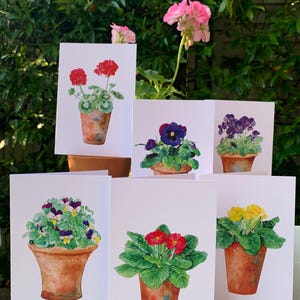 Pack of 6 Watercolour Terracotta Flower Pot Greeting Cards