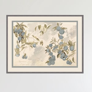 Puede incluir: Una ilustración botánica vintage de una rama con bayas azules y hojas verdes sobre un fondo gris claro. La ilustración está enmarcada en un marco gris.