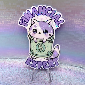 Pegatina de vinilo holográfica - Gato experto financiero - kawaii linda estética pastel papelería dinero iridiscente Calcomanías portátiles sarcasmo sarcástico