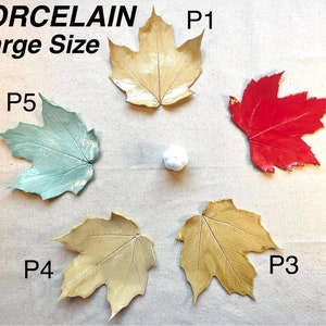 May include: Five porcelain maple leaf dishes in different colors. The leaves are arranged in a circle with the text "PORCELAIN Large Size" at the top. The leaves are labeled P1, P2, P3, P4, and P5.