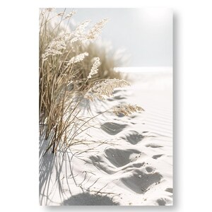 Böhmische Kräuter - Druckbar und herunterladbar - Weiches Licht auf Sand - Pflanzenwanddekoration - Poster zum schnellen Drucken
