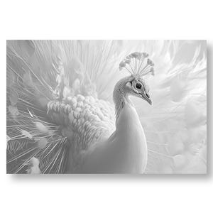 Arte de pared de pavo real blanco - Póster de pájaro elegante - Ilustración imprimible - Decoración del hogar - Descarga instantánea - Idea de regalo