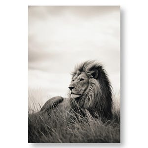 Lion Wall Art - Lion portrait - Vintage Wildlife Poster - Black & White Lion Print - Fine Art Portrait - Instant Download -Gift Idéa