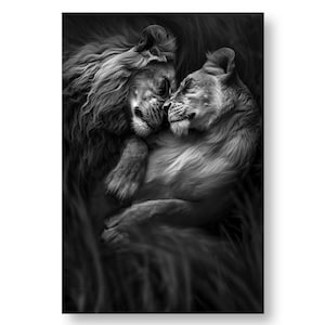 Schlafendes Löwenpaar - Druckbar und herunterladbar - Schwarz-Weiß-Tierposter für modernes und natürliches Dekor