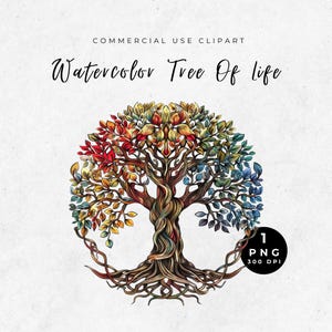 Clipart albero della vita, Clipart albero della vita celtico, Clipart albero della vita acquerello, Albero genealogico, PNG albero della vita multicolore, Albero mistico