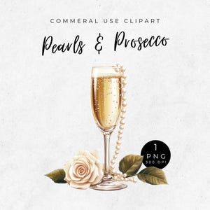 Clipart parels en prosecco, poster vrijgezellenfeest, champagne clipart, sieraden png, bruiloft clipart, bloemblaadjes en prosecco, ladies who lunch