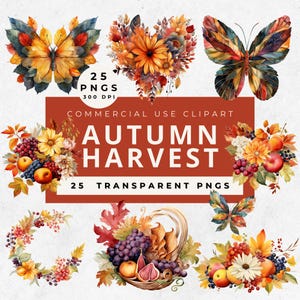 Clipart di sublimazione della cornucopia del Ringraziamento, Clipart del cesto del raccolto autunnale, Clipart autunnale, Clipart di zucca, Elementi autunnali, Autunno accogliente