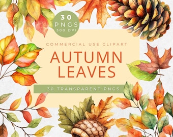 Watercolor Autumn Leaves Clipart Bundle: Fall Foliage Art (PNG Digital Download)