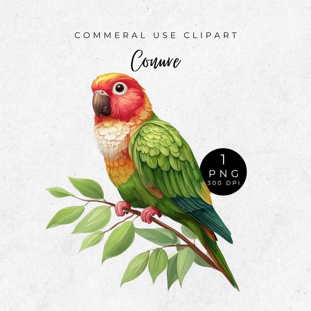 PNG Clipart Conure, Colorful Bird Illustration, Digital Art, Printable ...