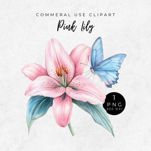 Clipart di farfalle e gigli, arte floreale ad acquerello, farfalla di fiori PNG, giglio rosa PNG, download di gigli e farfalle, download digitale carino