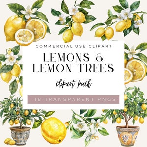 Citron méditerranéen Clipart, Clipart citrons aquarelle, fruits des cliparts, Bundle PNG citron, Shower nuptiale citron, Shower de bébé citron, Commercial